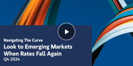 Morgan Stanley IM: Insight Video Look to Emerging Markets When Rates Fall Again