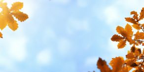 Morgan Stanley IM: Engage Autumn 2024 