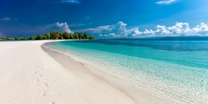 Video: A Holiday Reset