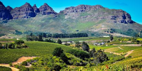 Morgan Stanley IM Video: A New Era in South Africa 