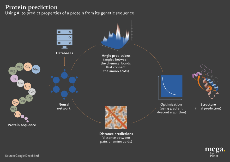 protein_prediction_1145
