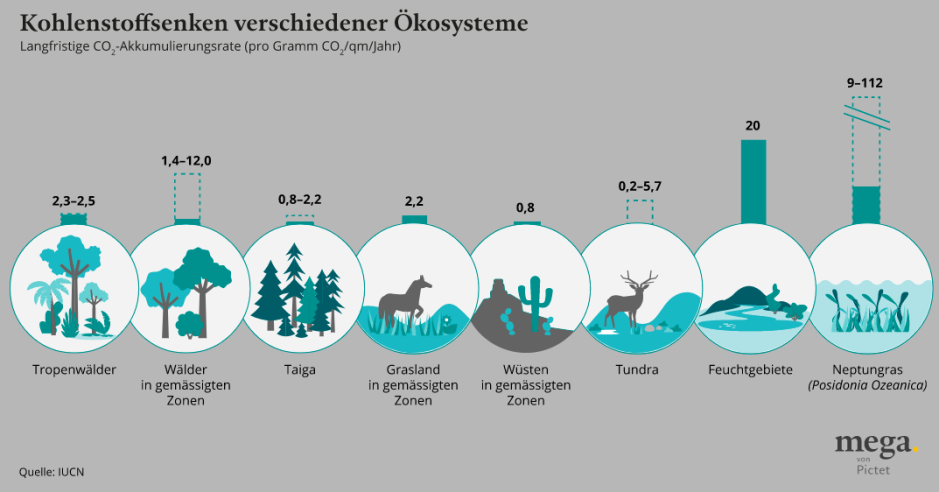 nature_based_materials_1040px_DE