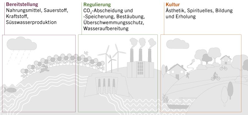 SRC-biodiversity_update_PAM_DE