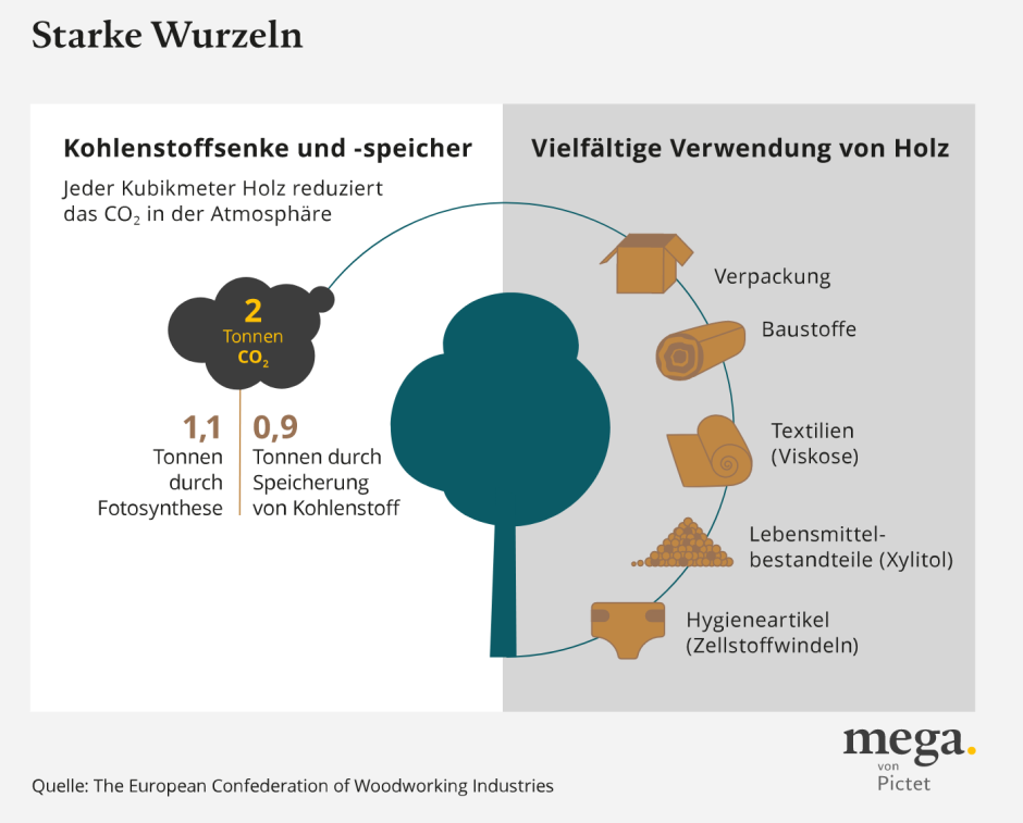 carbon sink and storage_DE
