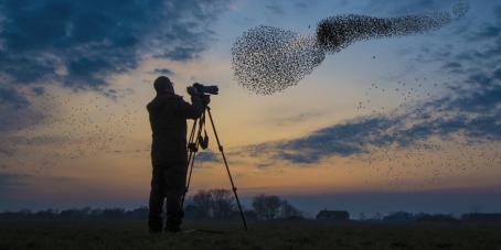 Pictet AM Dezember 2025 Multi-Asset