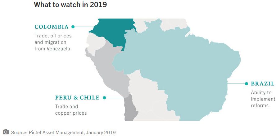 What to watch in 2019