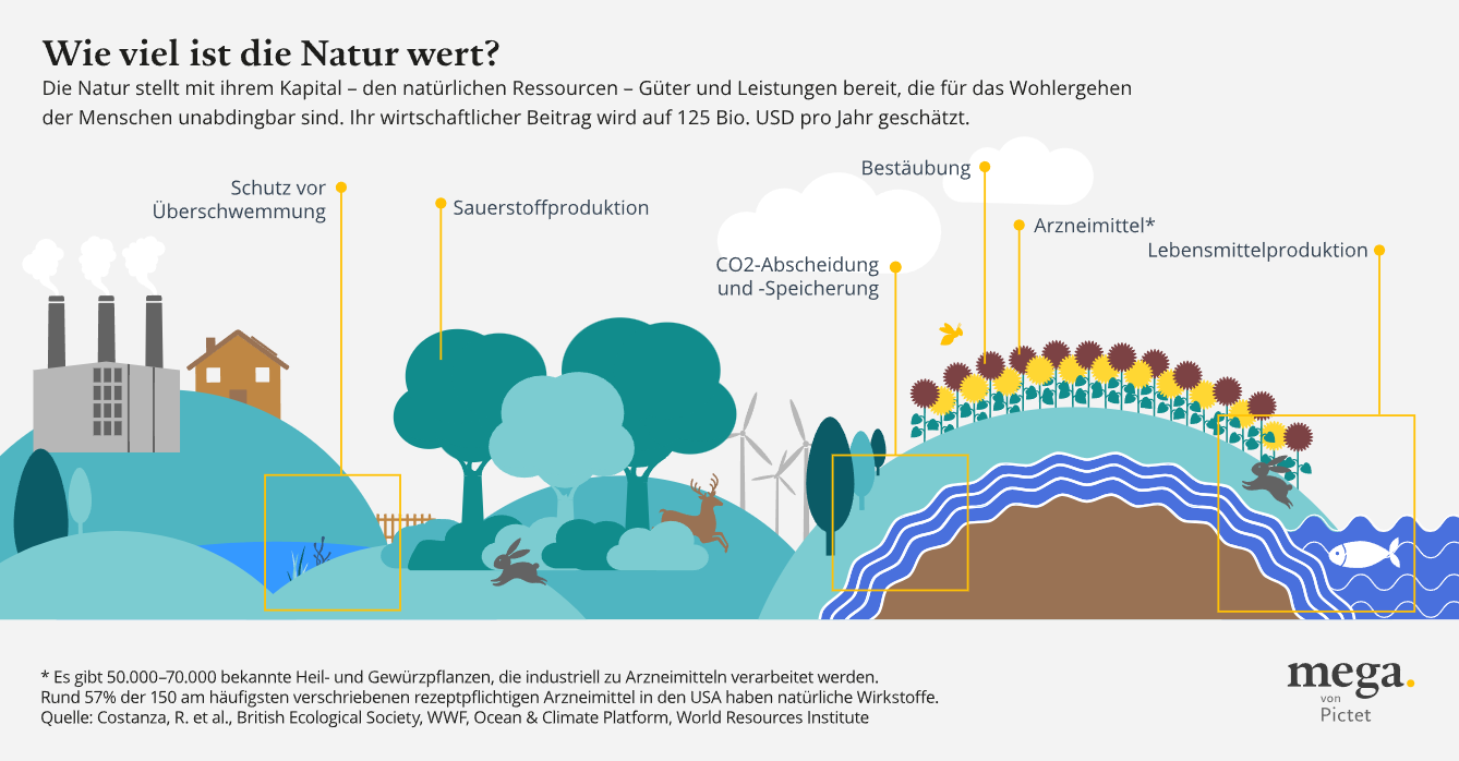 Wie viel ist die Natur wert