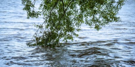 Pictet AM: Überschwemmungsrisiken machen deutlich, wie wichtig die Anpassung an den Klimawandel ist.