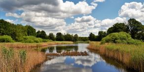 Investitionen in die biologische Vielfalt