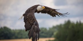 Seahawk Investments: Citywire – Wie schlägt man alle Long Short Manager?