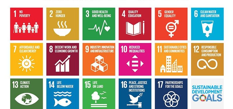 Figure 1: The 17 UN Sustainable Development Goals 