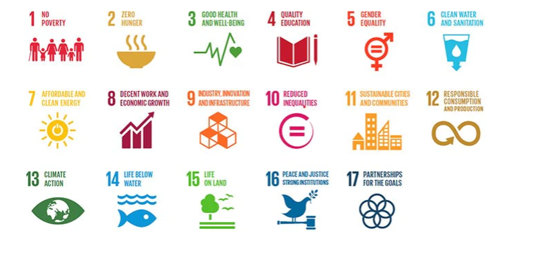 e0d5eafb1a80e995cbdf34c259936f47_the-sdgs-at-half-time-fig1_tcm1002-35118_800x0