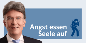 Frank Fischer, Shareholder Value Management AG
