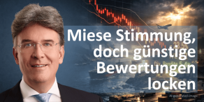 Frank Fischer, Shareholder Value Management AG