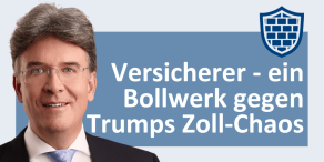 Frank Fischer, Shareholder Value Management AG