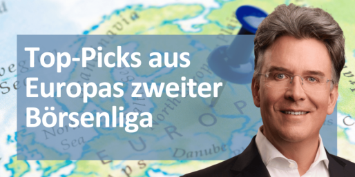 Frank Fischer, Shareholder Value Management AG