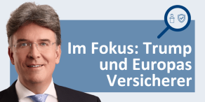Frank Fischer, Shareholder Value Management AG