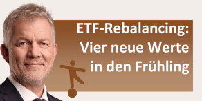 Heiko Böhmer: Shareholder Value Management