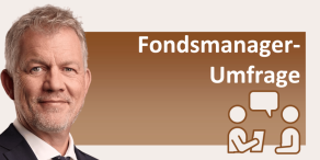 Heiko Böhmer, Shareholder Value Mangement AG