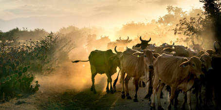 William Blair: Asiens Kapital kehrt zurück