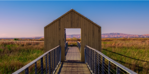 William Blair: Schwellenländer 2025 - Eine Landschaft voller Möglichkeitenb