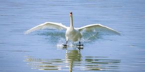 William Blair: Bereit für die Flaute