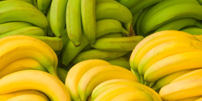 William Blair: Reifen Value-Aktien (wie grüne Bananen)?