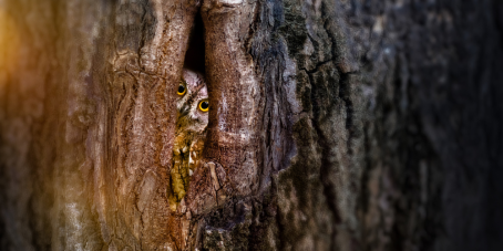 William Blair: Die verborgenen Einflussfaktoren auf den Unternehmenswert