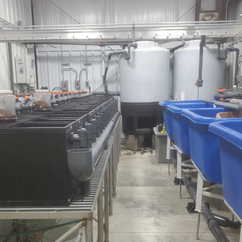 Langfristige Wachstumsaussichten für Ethanolanlagen und Fischzuchtanlagen