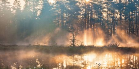 William Blair: EM-Dept glänzen inmitten globaler Unsicherheit