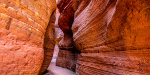 Politische Reaktionen verringern globale Wachstumsunterschiede