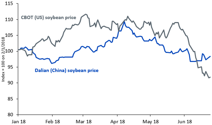 Preise für Sojabohnen in den USA und China scheinen sich angesichts der Androhung chinesischer Vergeltungsmaßnahmen zu entkoppeln
