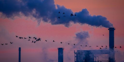 Die deutsche Industrie hat 2025 Umsatz eingebüßt (Archivbild)