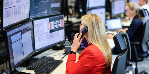 Überschuss an Wind- und Solarstrom lässt die Preise zeitweise ins Minus rutschen. (Archivbild) 