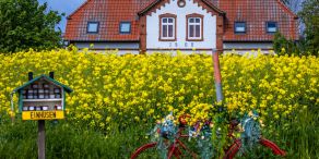 Nummer sicher: Ferienhaus an der Ostsee. (Archivbild)