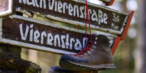 Das Image des Wanderns hat sich einer Studie zufolge seit den 1990er Jahren «von einer eher betulichen zu einer Lifestyle-orientierten Freizeitaktivität» gewandelt.
