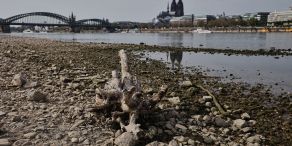 Das Niedrigwasser am Rhein bremste die deutsche Wirtschaft - dennoch legte sie im Sommer zu. (Archivbild)